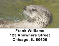 Otter Address Labels | LBZANJ-49