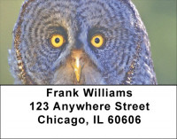 Wise Old Owls Address Labels | LBZANJ-50