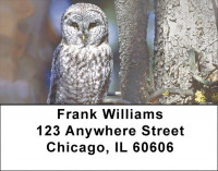 Wise Old Owls Address Labels | LBZANJ-50