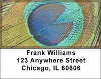 Peacock Plumes Address Labels | LBZANJ-52