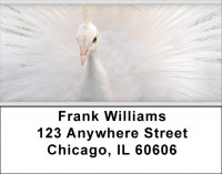 White Peacock Address Labels