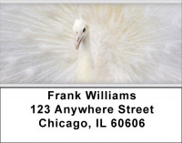 White Peacock Address Labels | LBZANJ-55