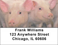 Pigs Address Labels
