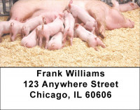 Pigs Address Labels | LBZANJ-58