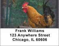 Roosters Address Labels | LBZANJ-62