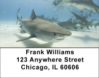 Jaws Address Labels | LBZANJ-63