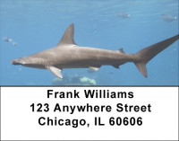 Shark Infested Waters Address Labels