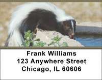 Skunk Address Labels | LBZANJ-68