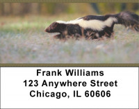 Skunk Address Labels | LBZANJ-68