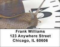 Slow Down Time Address Labels | LBZANJ-70