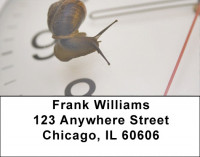 Slow Down Time Address Labels | LBZANJ-70