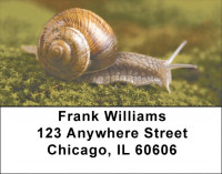 Snails On Parade Address Labels | LBZANJ-71