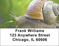 Snails On Parade Address Labels | LBZANJ-71