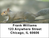 Squirrel Antics Address Labels | LBZANJ-73