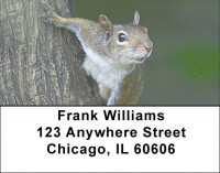 Squirrel Antics Address Labels | LBZANJ-73