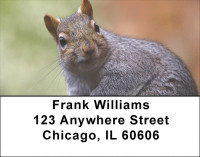 Squirrel Time Address Labels