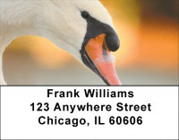 Beauty and Grace Address Labels | LBZANJ-75