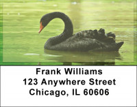 Black Swan Address Labels | LBZANJ-76