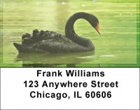Black Swan Address Labels | LBZANJ-76