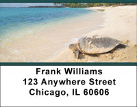 Sea Turtles Address Labels | LBZANJ-86