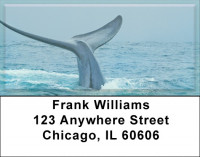 Whale Of A Tail Address Labels | LBZANJ-88