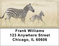 Zebra & Babies Address Labels | LBZANJ-90