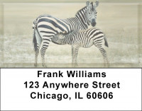 Zebra & Babies Address Labels | LBZANJ-90