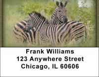 Zebra In Wild Address Labels | LBZANJ-92