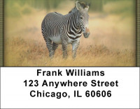 Zebra In Wild Address Labels | LBZANJ-92