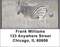 Zebra Safari Address Labels