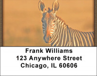 Zebras At Sunset Address Labels | LBZANJ-95