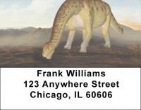 Dino Walk In The Park Address Labels | LBZANJ-98