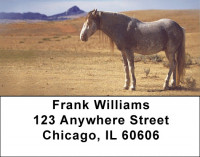 Spanish Mustang Address Labels | LBZANK-05