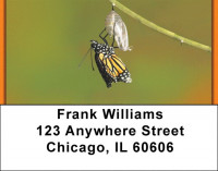 Butterfly Perspective  Address Labels | LBZANK-09