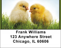 Spring Chicks Address Labels