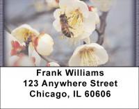 Busy Bees Address Labels | LBZANK-16