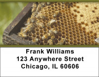 Honey Bees Address Labels | LBZANK-17
