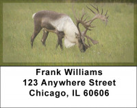 Caribou Address Labels | LBZANK-24