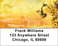 Cheetahs Address Labels