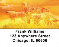 Cheetahs Address Labels | LBZANK-27