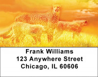 Cheetahs Address Labels | LBZANK-27