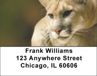 Cougar Address Labels | LBZANK-28