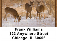 Whitetail Deer Address Labels | LBZANK-30