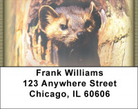 Ferrets Address Labels | LBZANK-34