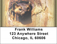 Ferrets Address Labels | LBZANK-34