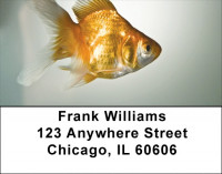 Goldfish Address Labels