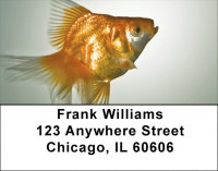 Goldfish Address Labels | LBZANK-35
