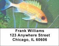 Tropical Fish Address Labels | LBZANK-36