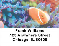 Tropical Fish Address Labels | LBZANK-36