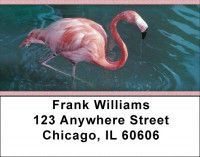 Flamingos In Wild Address Labels
